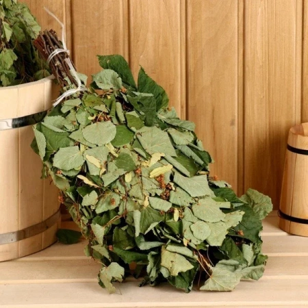 Веник липа (Майкоп)