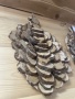 Панно из можжевельника Веник в технике чешуя 42х25